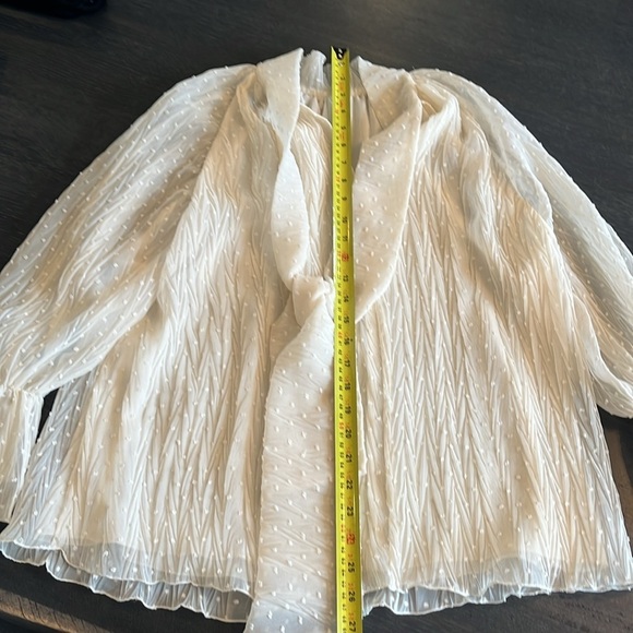 Zara Back Tie Dotted Chiffon Blouse Cream - Picture 8 of 11